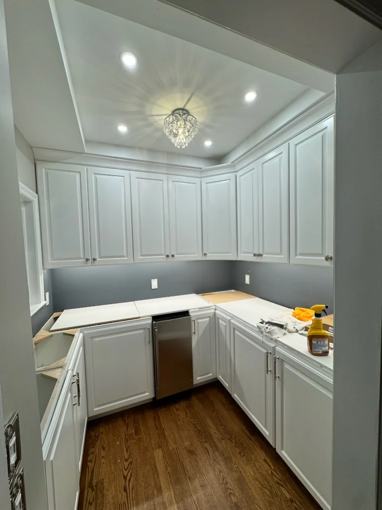 Pantry Addition — photo 2