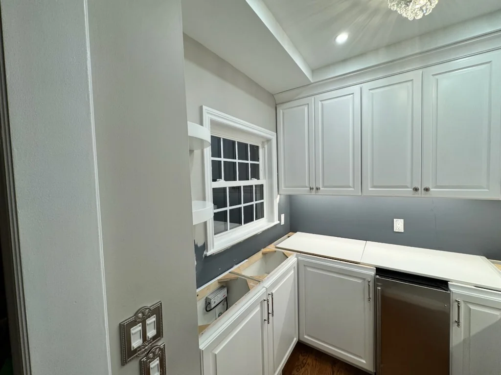 Pantry Addition — photo 3