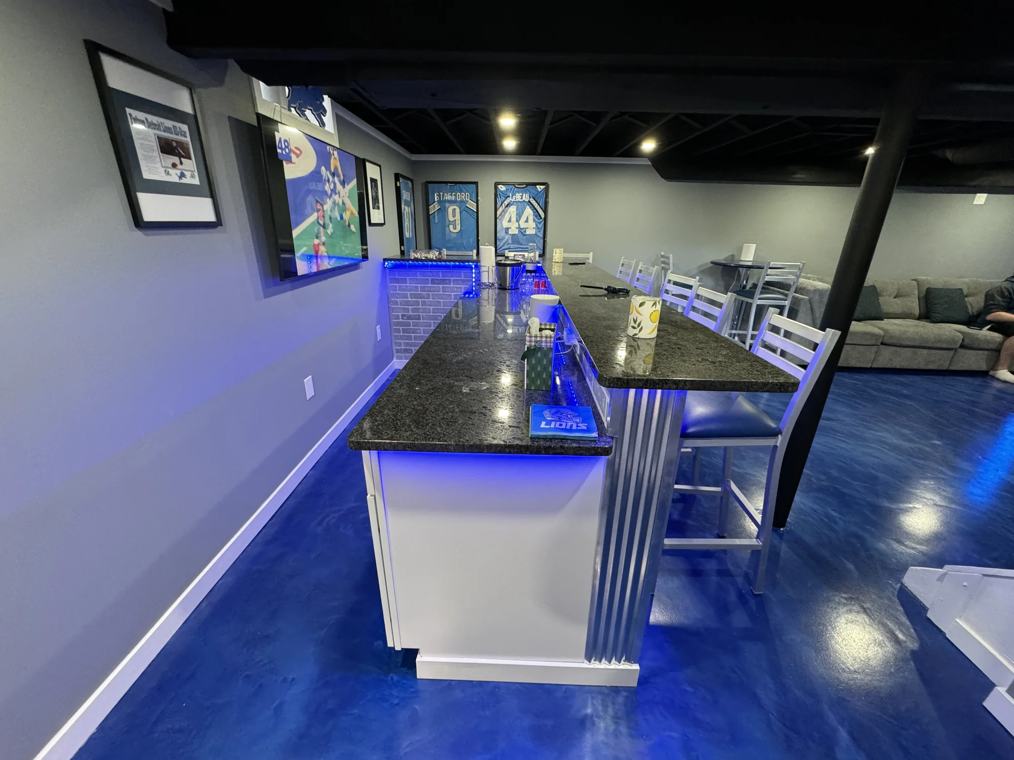 Lions Theme Basement — photo 2