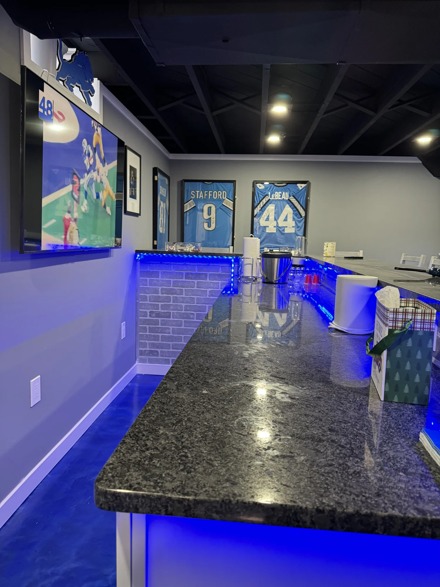 Lions Theme Basement — photo 4