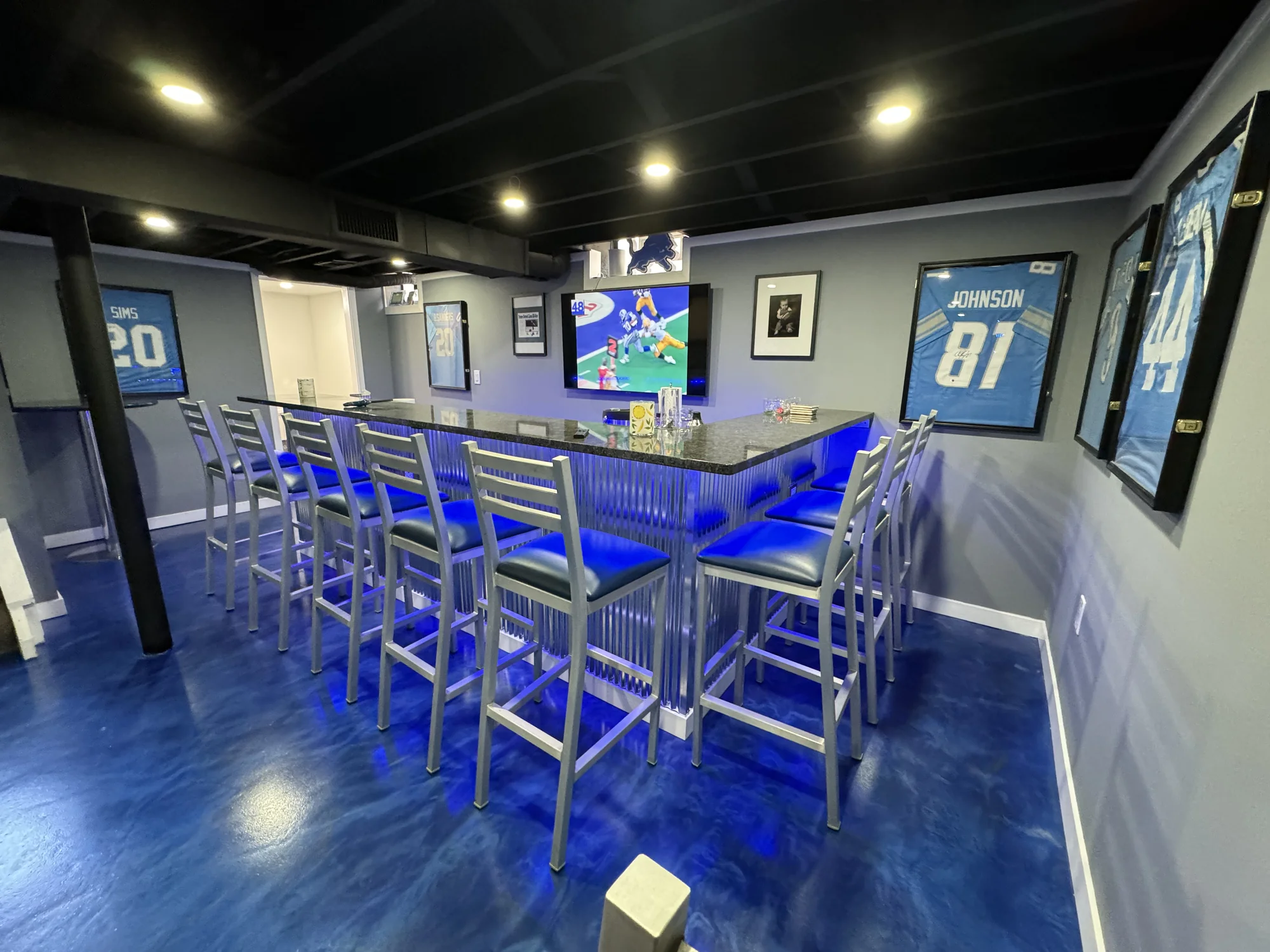 Lions Theme Basement — photo 9