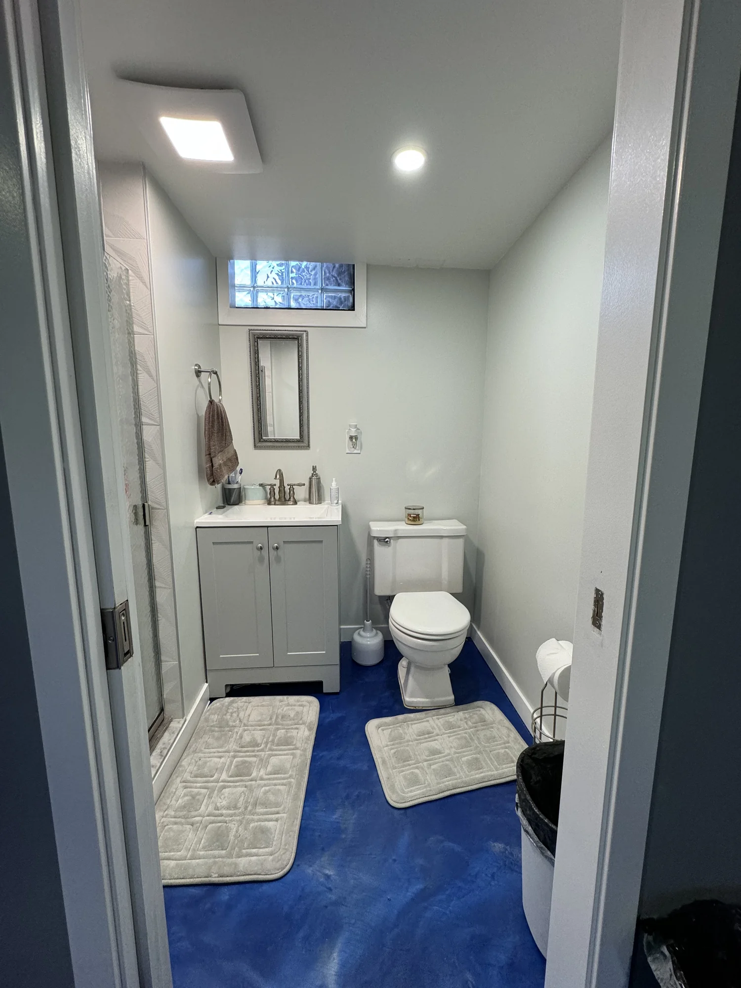 Lions Theme Basement — photo 10