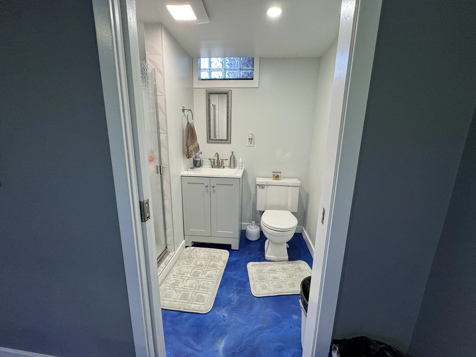 Lions Theme Basement — photo 11