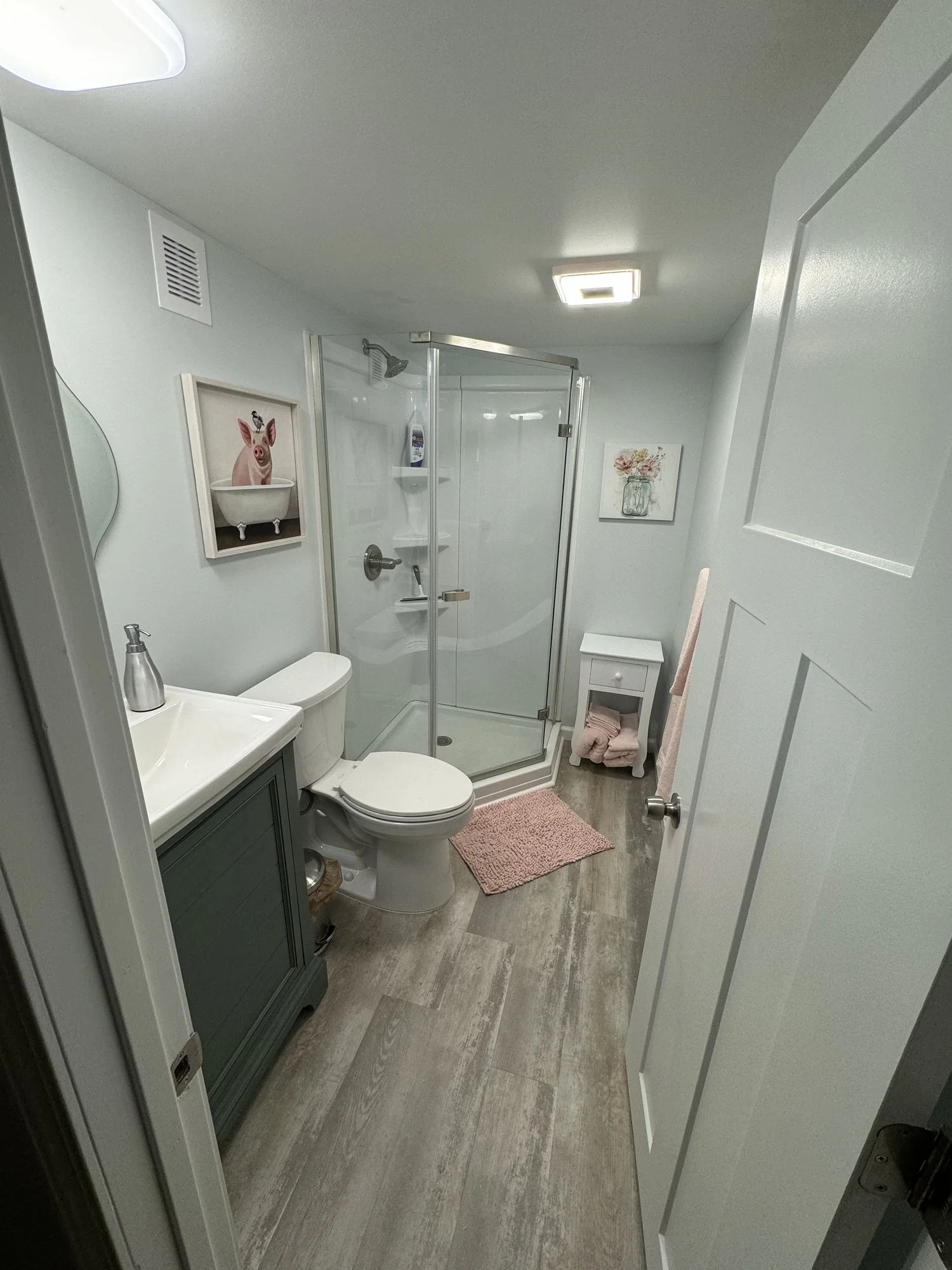 Basement Bathroom — photo 1