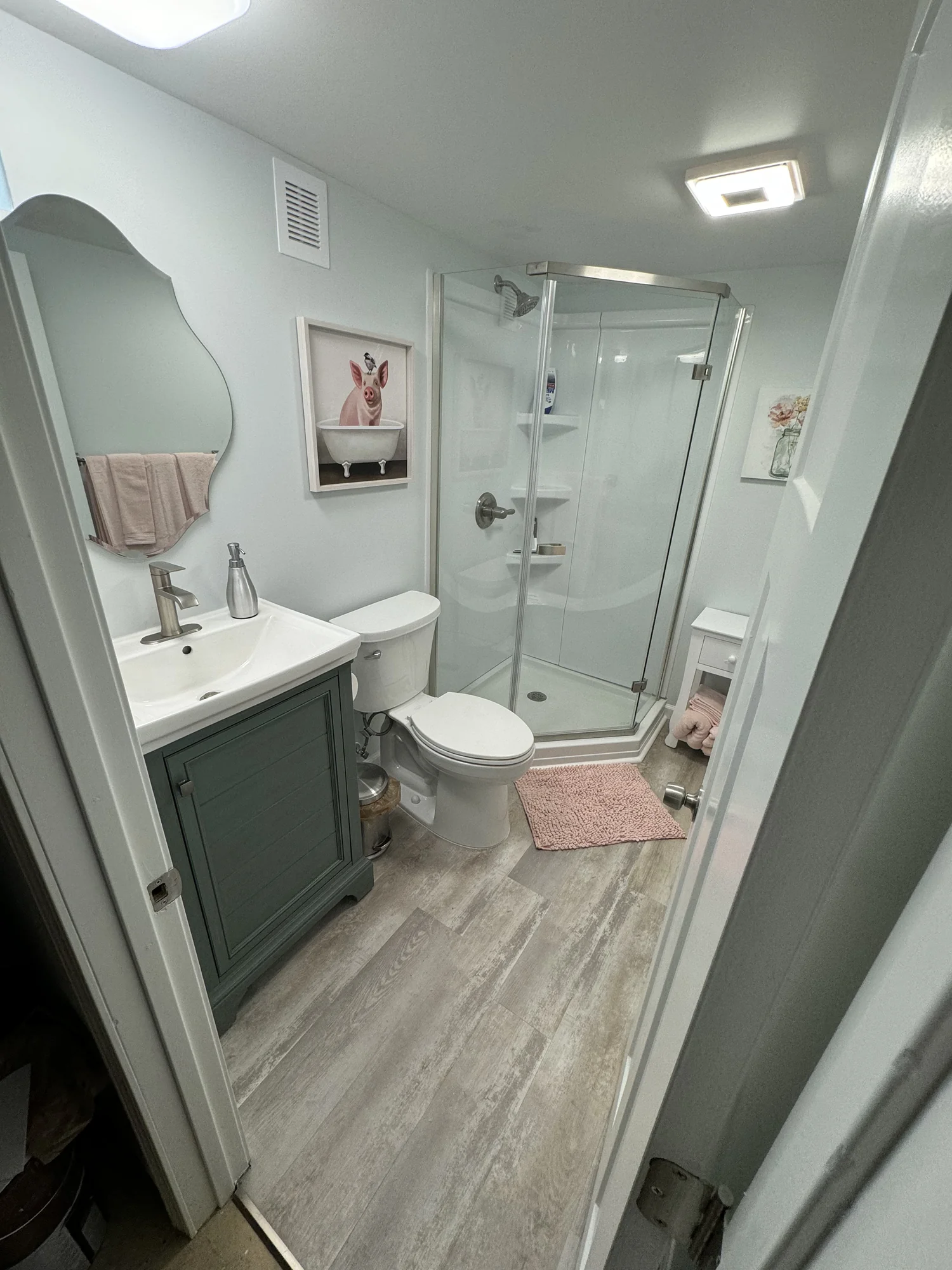 Basement Bathroom — photo 2