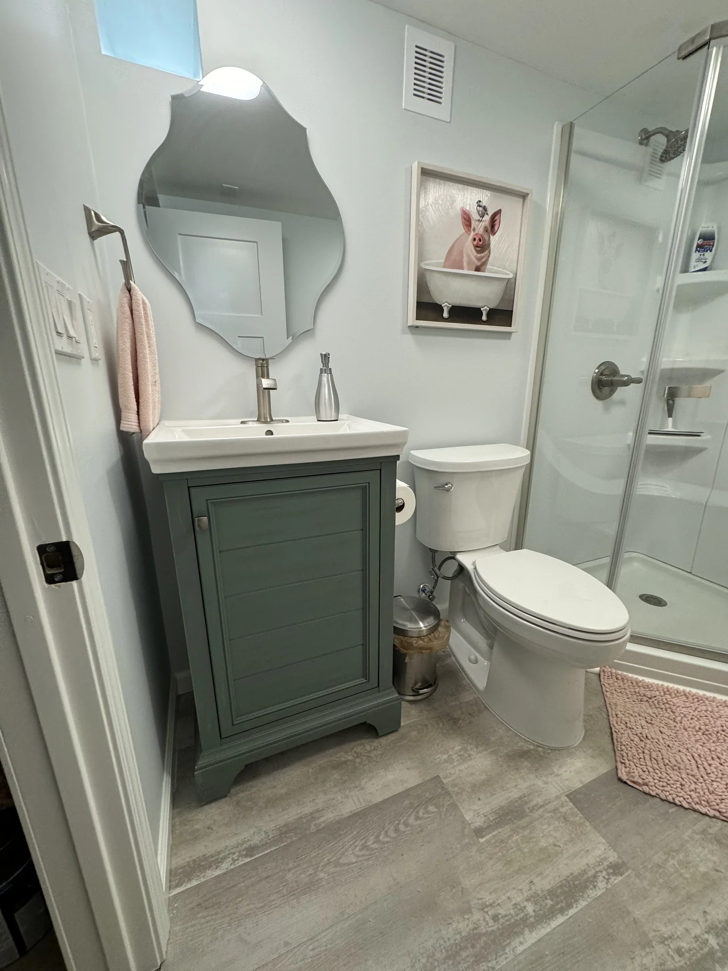 Basement Bathroom — photo 3