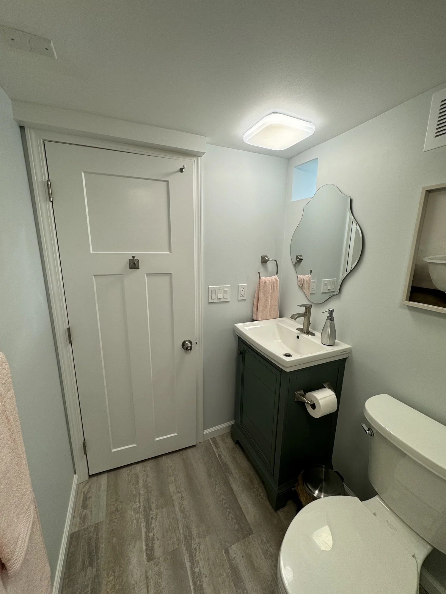 Basement Bathroom — photo 4