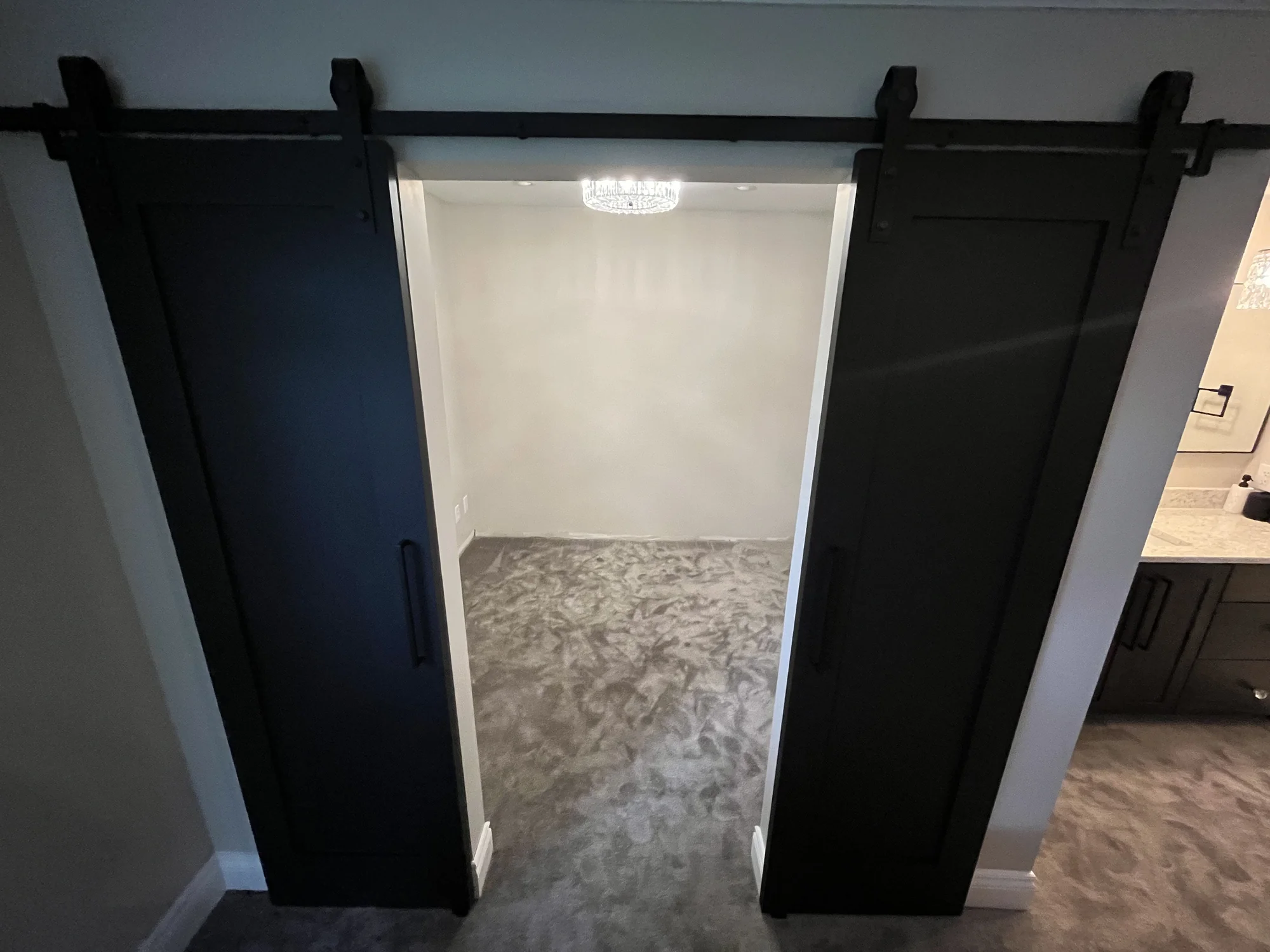 Black Vanity + Barn Door Bath — photo 2