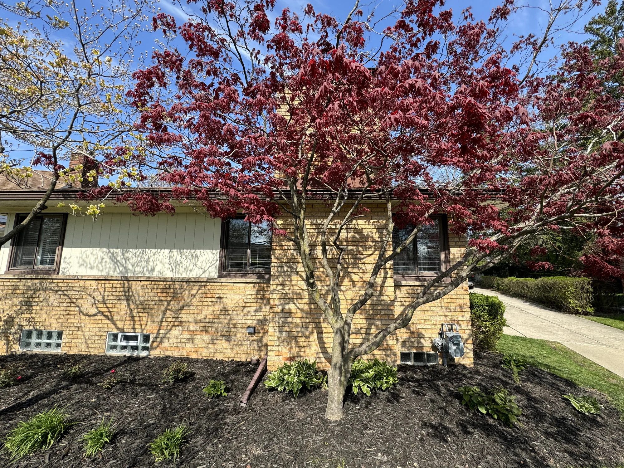 Exterior Remodel — photo 2
