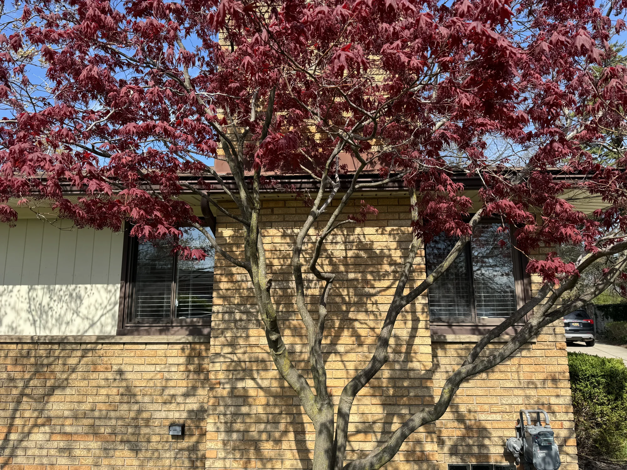 Exterior Remodel — photo 3