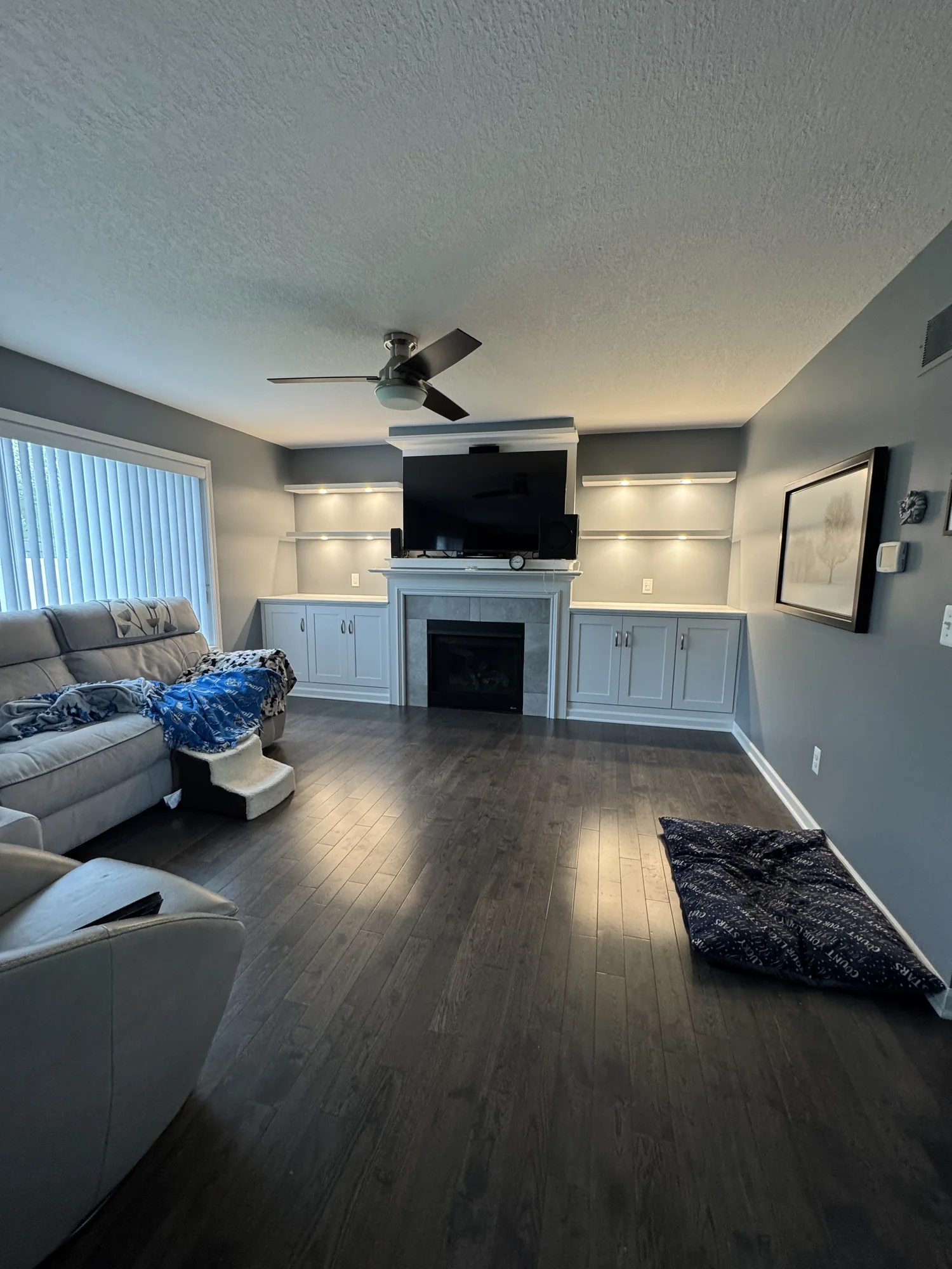 White Built-Ins Living Room — photo 2