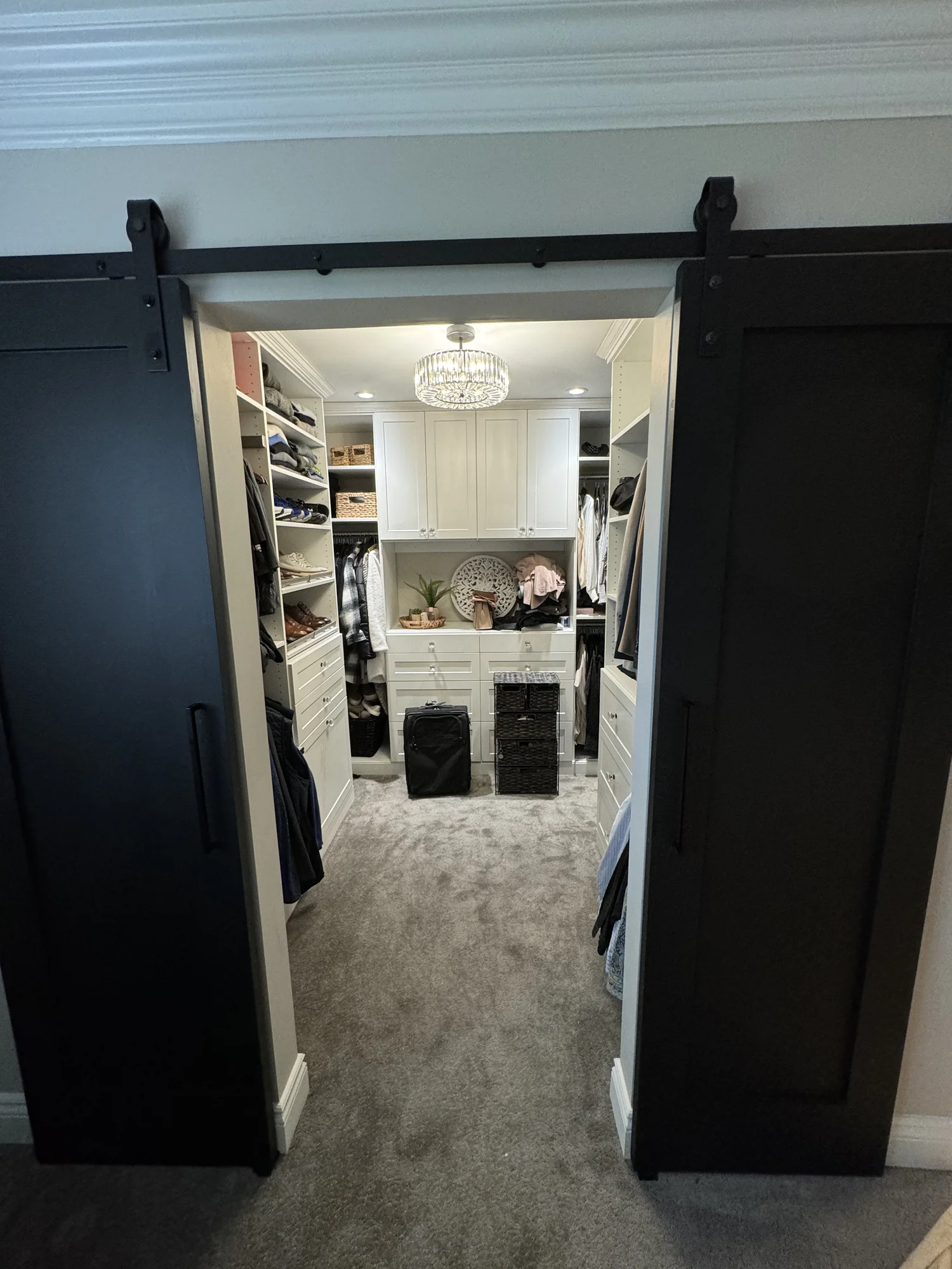 Primary Suite with Barn Door — photo 2