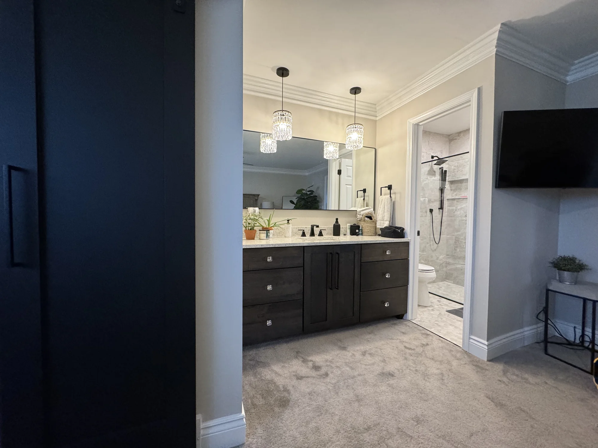 Primary Suite with Barn Door — photo 4